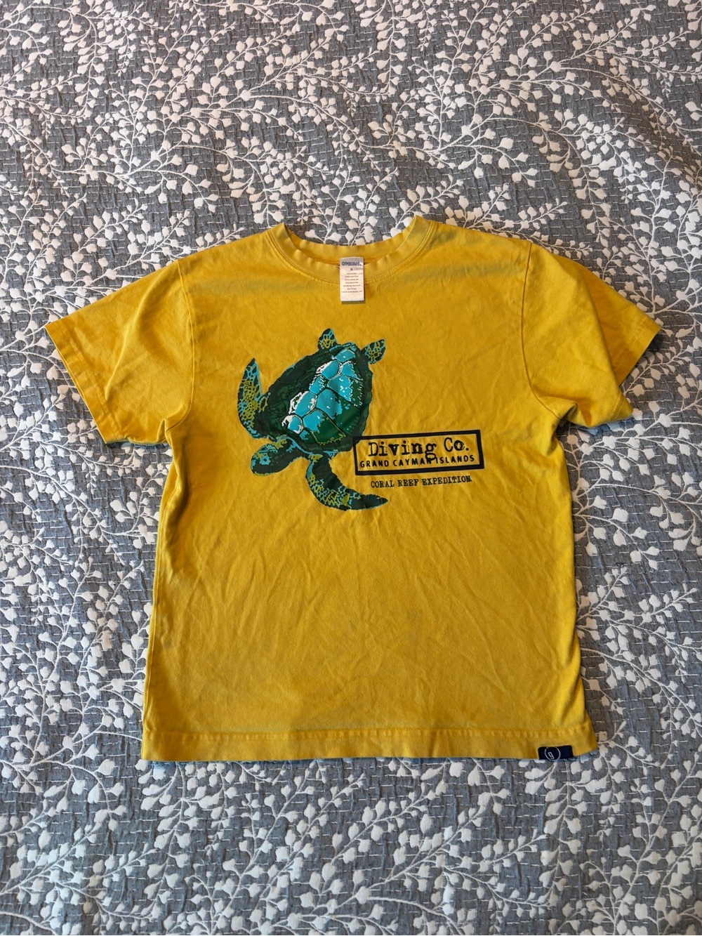 Gymboree 2006 Dive Shop boys t-shirt - 8
